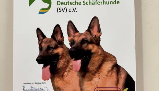 3. Ortsgruppen-Rezertifizierung